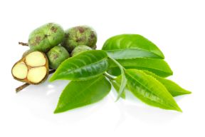 HIỆU QUẢ BẤT NGỜ TỪ VIỆC RỬA MẶT BẰNG NƯỚC TRÀ XANH