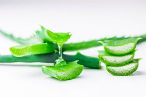 3 CÁCH LÀM NƯỚC ÉP NHA ĐAM GIẢM CÂN NGON VÀ TỐT CHO SỨC KHỎE