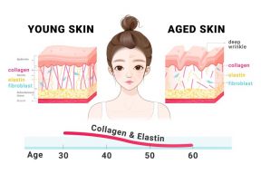 Giúp bạn nhận biết 8 dấu hiệu lão hóa da