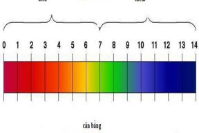 3 lý do bạn cần lưu ý đến độ pH của da khi skincare