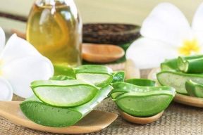 CÔNG DỤNG CỦA NHA ĐAM TRONG LÀM ĐẸP