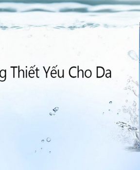 Nước Hoa Hồng Dành Cho Da Khô Laneige Essential Power Skin Refiner Moisture 200ml
