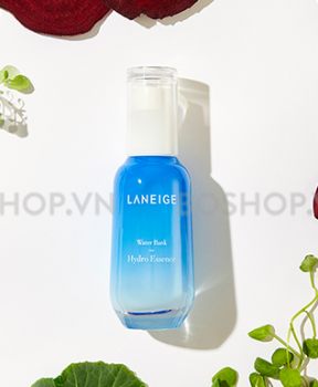 Tinh Chất Laneige Water Bank Hydro Essence 70ml