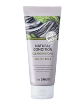 Sữa Rửa Mặt The Saem Natural Condition Cleansing Foam Purifying