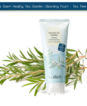 Sữa Rửa Mặt The Saem Healing Tea Garden Apple Mint Cleansing Foam