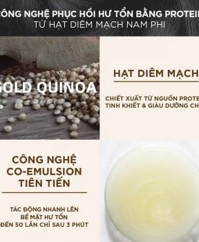 Dầu Gội L’Oréal Professionnel Phục Hồi Hư Tổn Toàn Diện 500ml