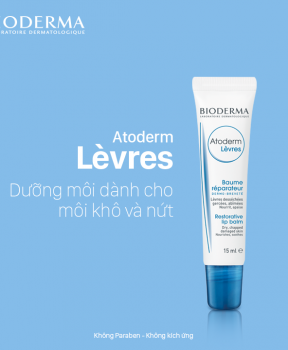 Sáp Dưỡng Ẩm Bioderma Dành Cho Môi Khô, Nứt Nẻ 15ml Atoderm Levres Lip