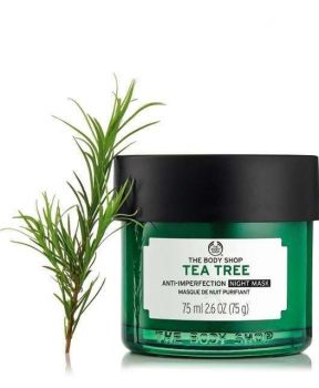 Mặt Nạ Ngủ The Body Shop Tràm Trà Cho Da Dầu Mụn 75ml Tea Tree Anti-Imperfection Night Mask