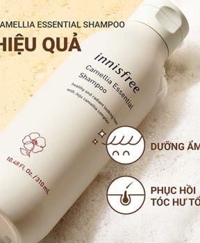 Dầu gội dưỡng tóc hương hoa trà innisfree Camellia Essential Shampoo 300 mL