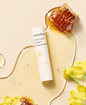 Son dưỡng ẩm sâu không màu innisfree Canola Honey Lip Balm Intensive Moisture 3.5 g