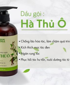 Dầu gội 2 in1 Hà Thủ Ô CoCayHoaLa 300g