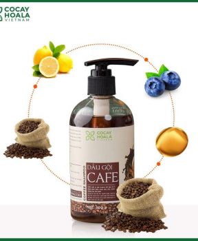 Dầu gội hạt Cafe CoCayHoaLa 300g