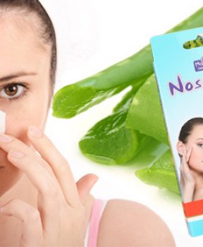 Mayan Nose Pore Strips Aloe 4 miếng