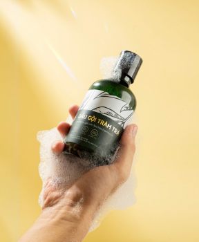 Lad styles Dầu gội tràm trà 300ml - hỗ trợ giảm tình trạng dầu nhờn trên da đầu và nấm ngứa hiệu quả