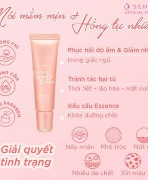 Tinh Chất Dưỡng Môi Senka Cấp Ẩm & Ngừa Khô, Nẻ Môi 10g Perfect Aqua Lip Essence